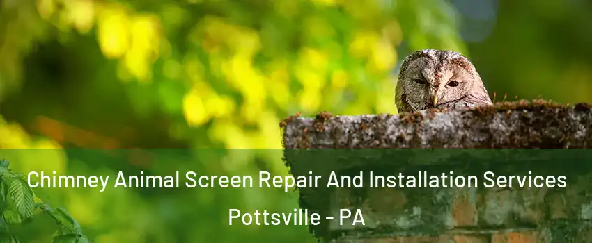  Chimney Animal Screen Repair And Installation Services Pottsville - PA
