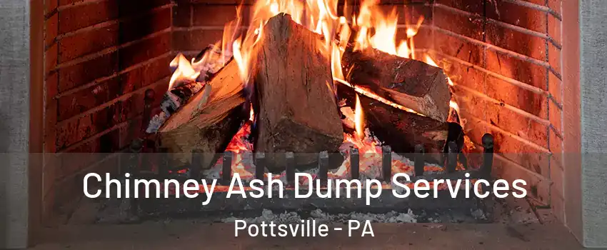  Chimney Ash Dump Services Pottsville - PA