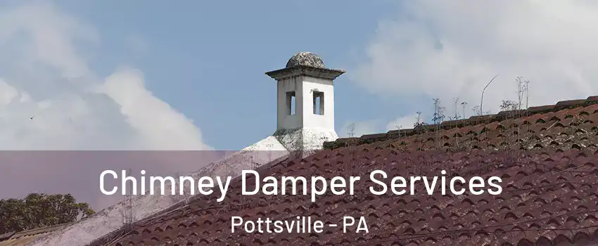  Chimney Damper Services Pottsville - PA