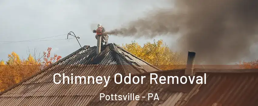  Chimney Odor Removal Pottsville - PA