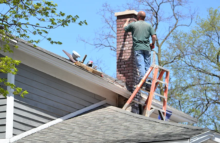 Chimney & Fireplace Inspections Services in Pottsville, PA