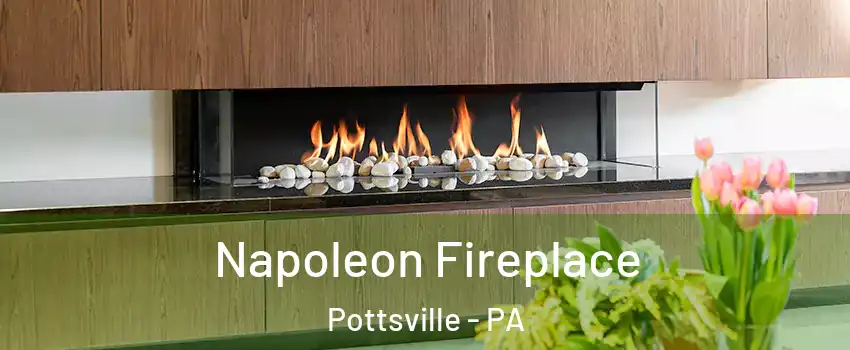  Napoleon Fireplace Pottsville - PA