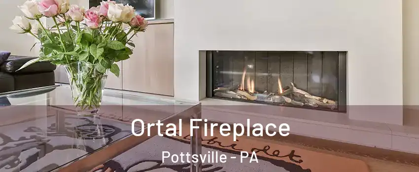  Ortal Fireplace Pottsville - PA