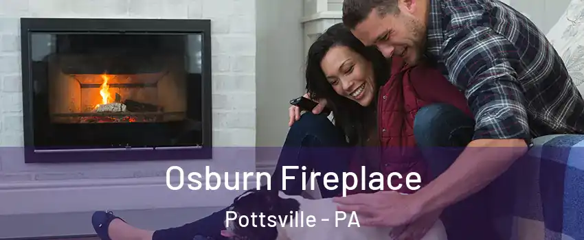  Osburn Fireplace Pottsville - PA